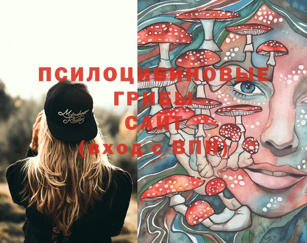 стафф Армянск