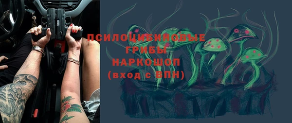 apvp Арсеньев