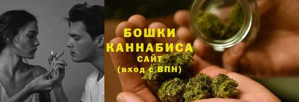 ПСИЛОЦИБИНОВЫЕ ГРИБЫ Аркадак
