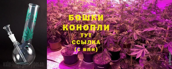 apvp Арсеньев
