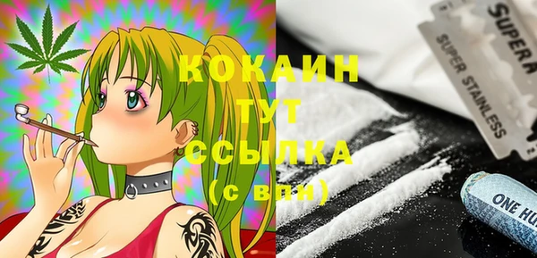 ПСИЛОЦИБИНОВЫЕ ГРИБЫ Аркадак