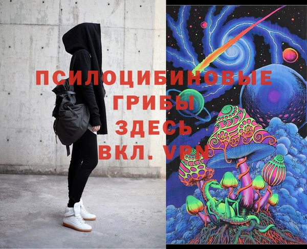 apvp Арсеньев