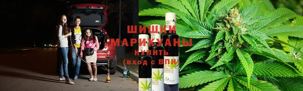 ПСИЛОЦИБИНОВЫЕ ГРИБЫ Аркадак