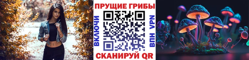 Галлюциногенные грибы Magic Shrooms Николаевск-на-Амуре